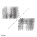 Typography